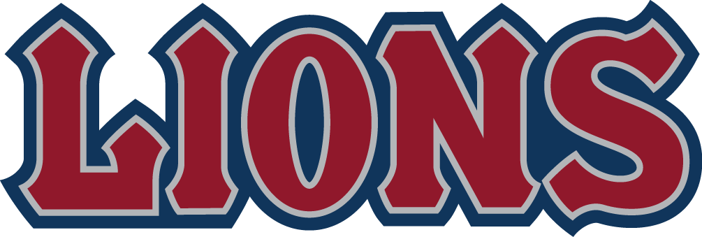 Loyola Marymount Lions 2008-2018 Wordmark Logo 02 iron on paper